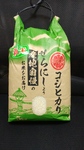 IMG00256.jpg